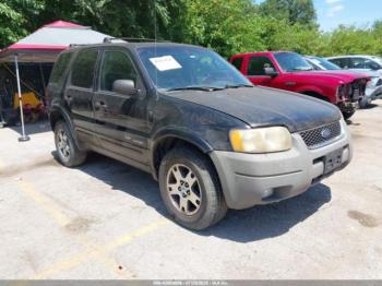  Salvage Ford Escape