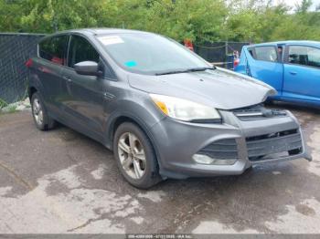  Salvage Ford Escape