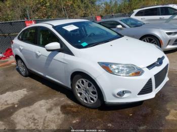  Salvage Ford Focus