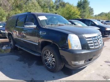  Salvage Cadillac Escalade