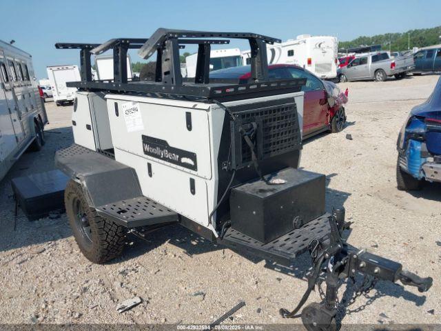  Salvage Taxa Woollybear