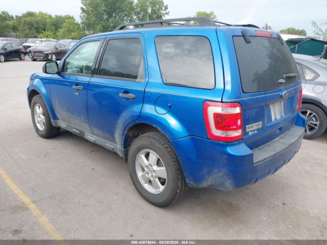 Ford Escape Xlt Image 6