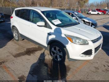  Salvage Ford Escape