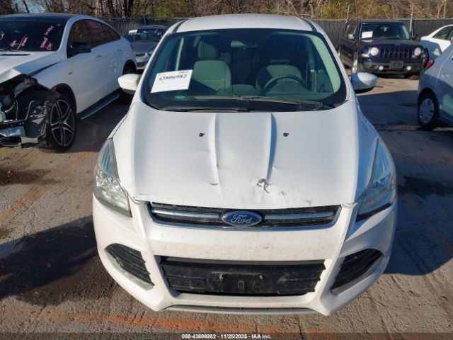 Ford Escape Se Image 5