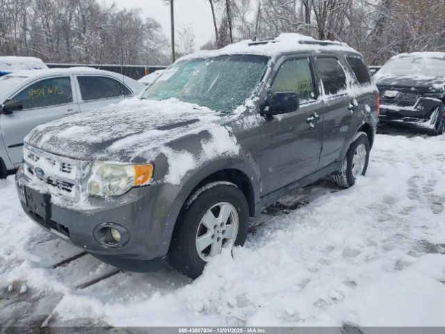 Ford Escape Xlt Image 8