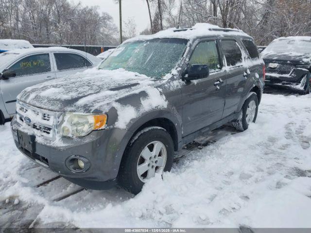 Ford Escape Xlt Image 8