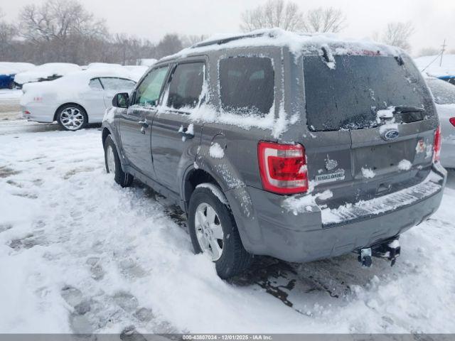 Ford Escape Xlt Image 6