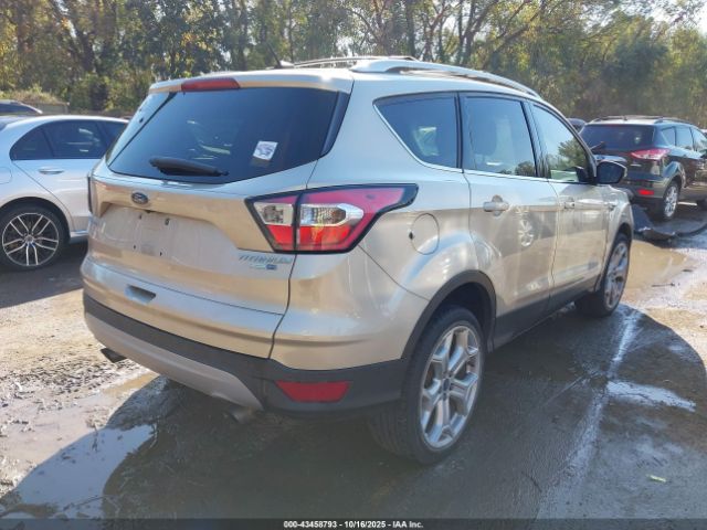 Ford Escape Titanium Image 5