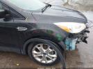 Ford Escape Se Image 12