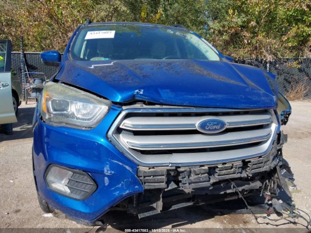 Ford Escape Sel Image 8