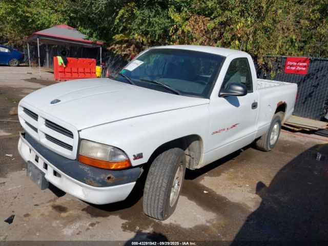 Dodge Dakota Image 3