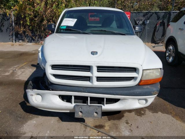 Dodge Dakota Image 2