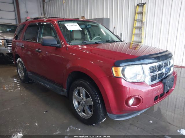 Ford Escape Xlt Image 1