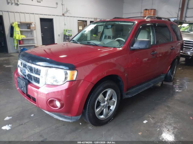 Ford Escape Xlt Image 10