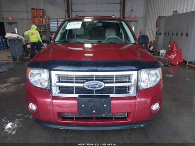 Ford Escape Xlt Image 6