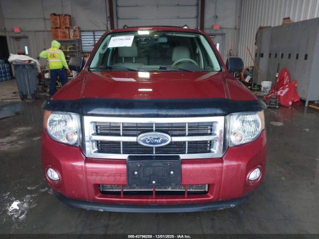 Ford Escape Xlt Image 6