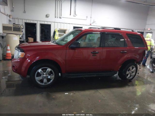 Ford Escape Xlt Image 3