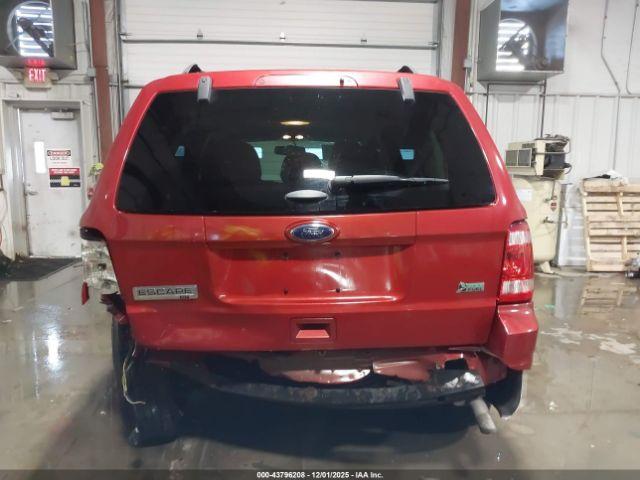 Ford Escape Xlt Image 7