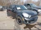 MINI Cooper S Countryman Image 1