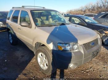  Salvage Ford Escape