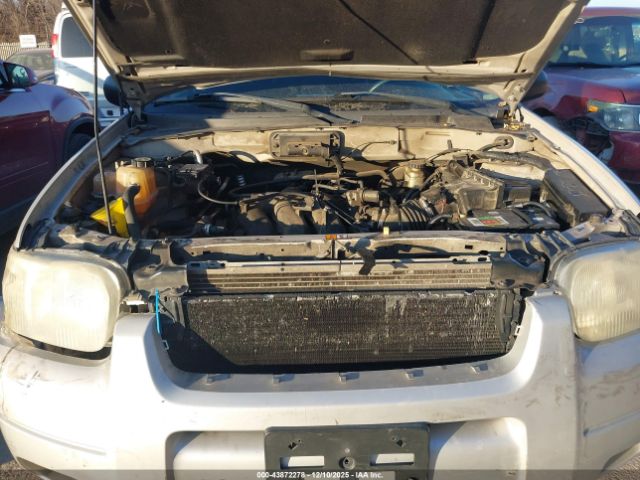 Ford Escape Limited Image 6