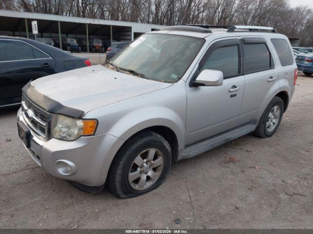 Ford Escape Limited Image 9