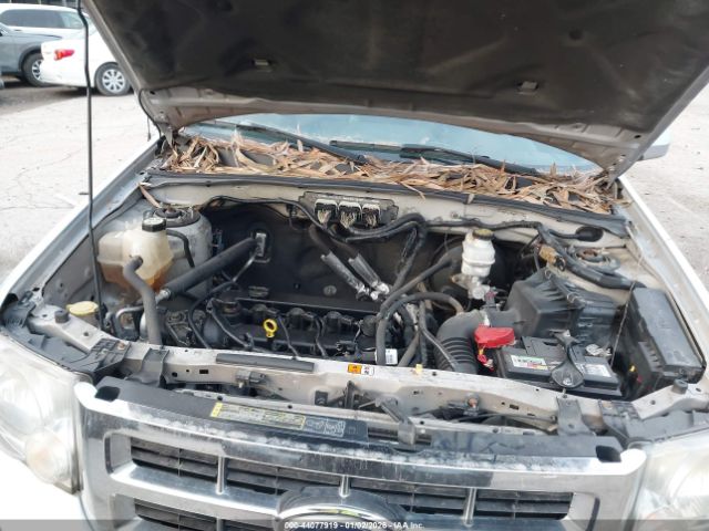 Ford Escape Limited Image 7