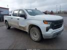 Chevrolet Silverado 1500 4wd  Standard Bed Wt Image 1