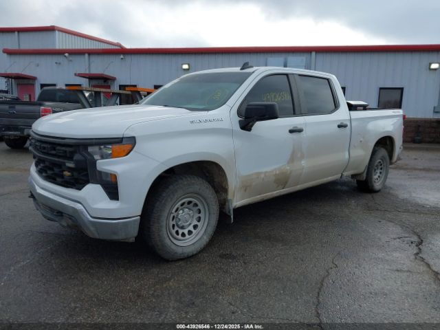 Chevrolet Silverado 1500 4wd  Standard Bed Wt Image 15