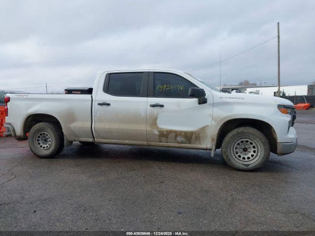 Chevrolet Silverado 1500 4wd  Standard Bed Wt Image 10