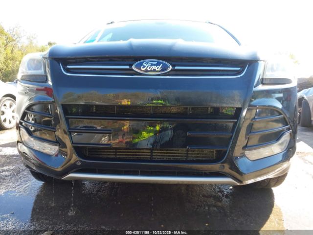 Ford Escape Titanium Image 5