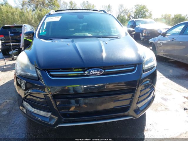 Ford Escape Titanium Image 14