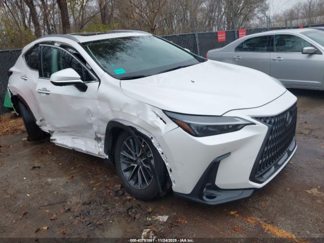 Lexus NX Premium Image 1