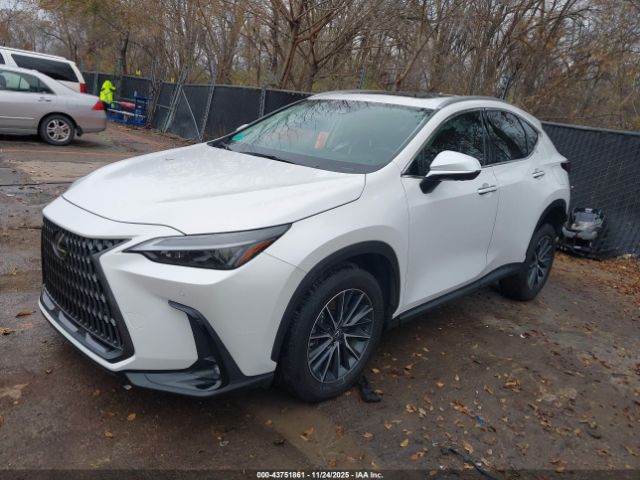 Lexus NX Premium Image 5