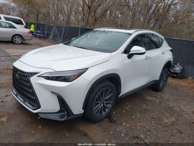 Lexus NX Premium Image 5