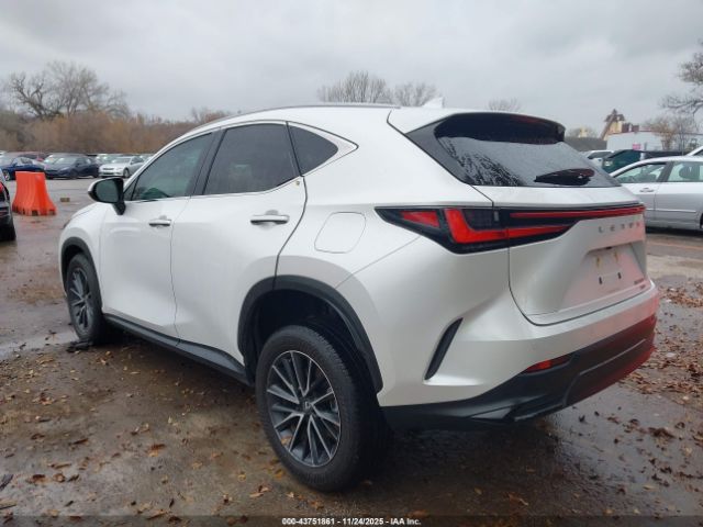 Lexus NX Premium Image 6