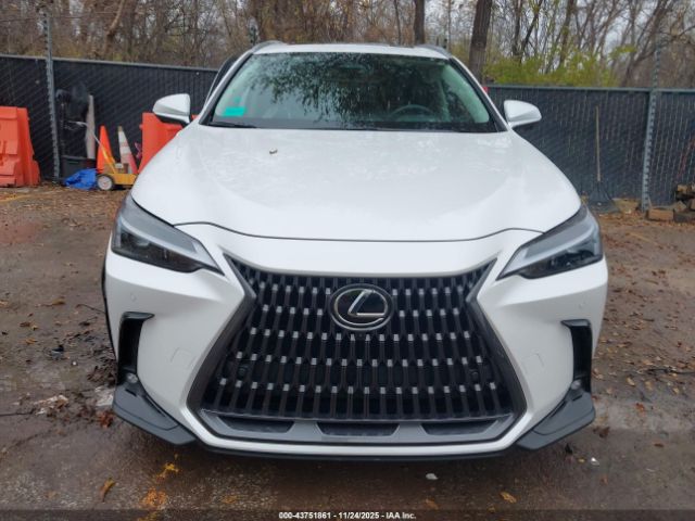 Lexus NX Premium Image 16
