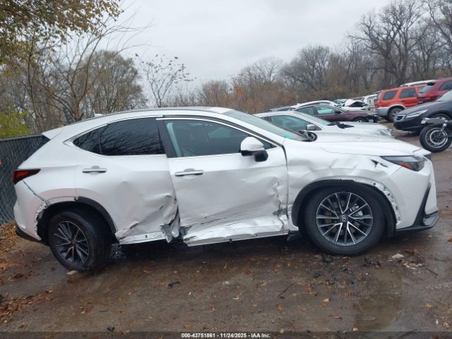 Lexus NX Premium Image 12