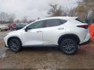 Lexus NX Premium Image 15