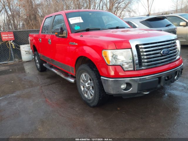 Ford F-150 Xlt Image 1