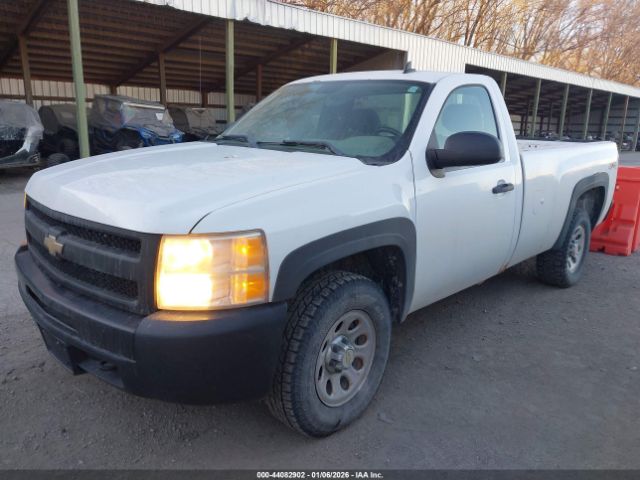 Chevrolet Silverado 1500 Work Truck Image 4