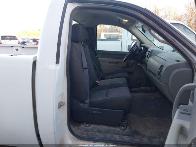 Chevrolet Silverado 1500 Work Truck Image 11