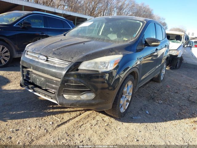 Ford Escape Sel Image 6