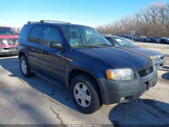  Salvage Ford Escape